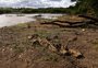 Agronegócio gaúcho busca, em Brasília, fôlego às dívidas acumuladas no campo