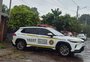 Idosa de 78 anos é presa em flagrante por suspeita de matar filhote de gato em Ijuí