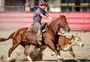 Qual será a prova do cavalo crioulo que vai estrear nas pistas do país em 2023