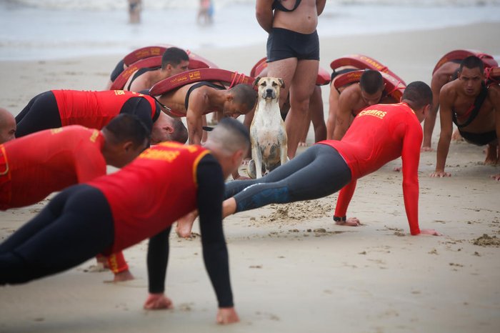 André Ávila / Agencia RBS