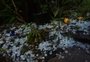 Chuva de granizo de oito minutos provocou estragos em plantações em Paraí 