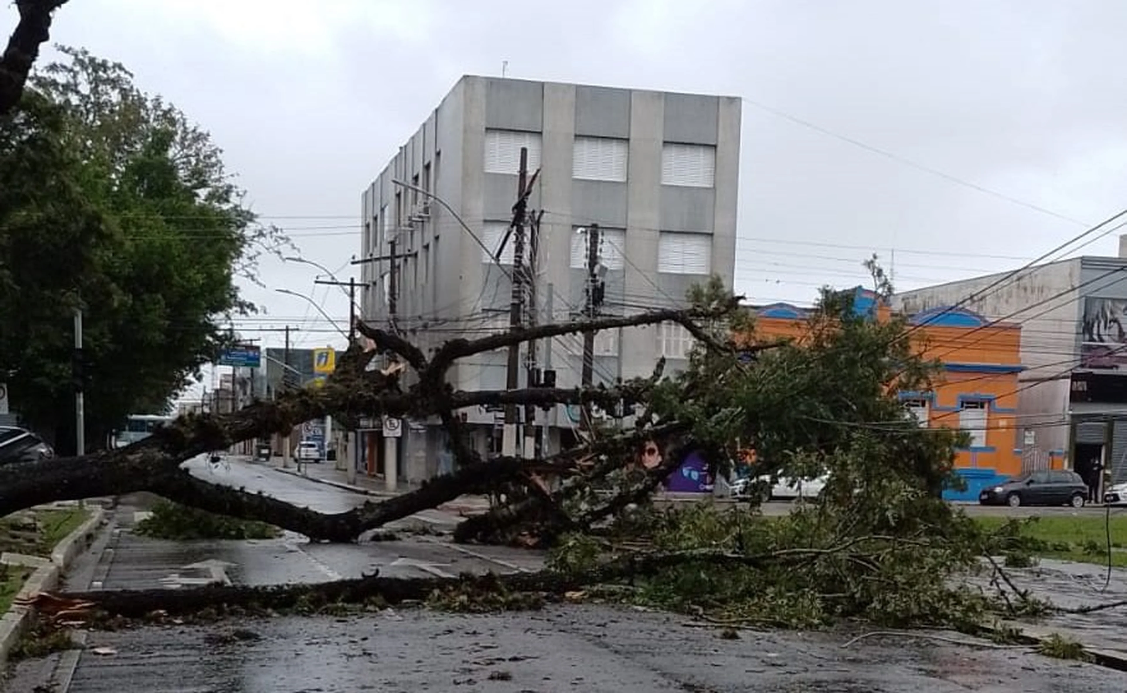 Prefeitura de Pelotas/Divulgação