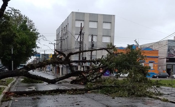 Prefeitura de Pelotas / Divulgação