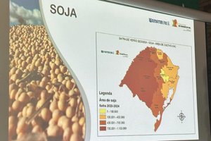 Gisele Loeblein / Agencia RBS Gisele Loeblein / Agencia RBS