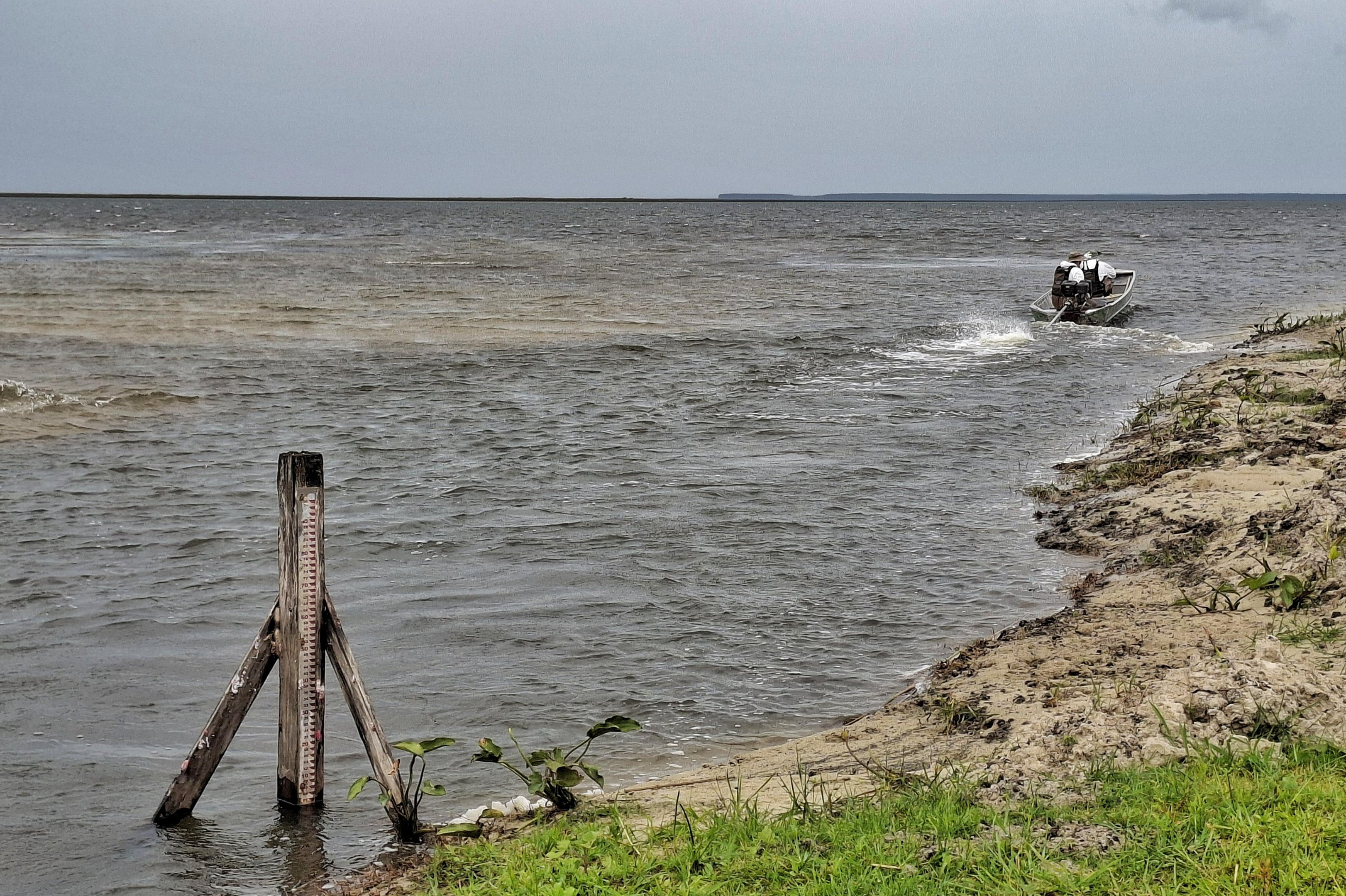 Taim pode reabrir em abril ap&oacute;s per&iacute;odo sem novos casos de gripe avi&aacute;ria; entenda o que falta