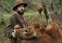 O filme da vaca é imperdível