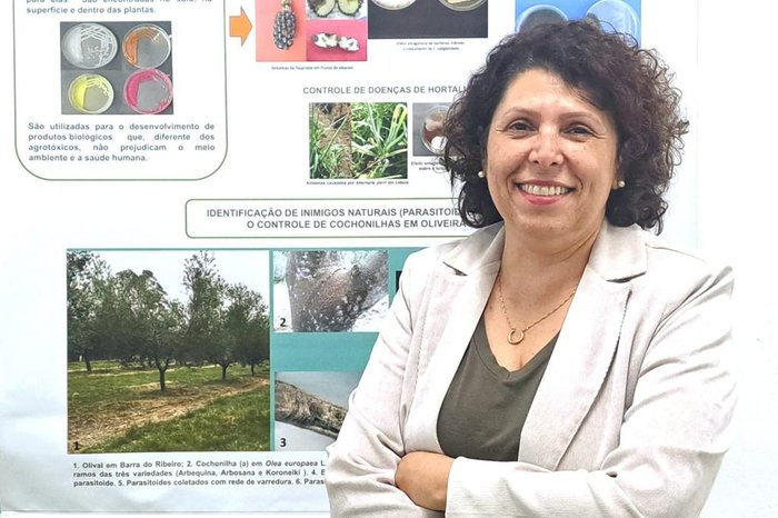 Fernando Dias / Seapi/Divulgação Fernando Dias / Seapi/Divulgação