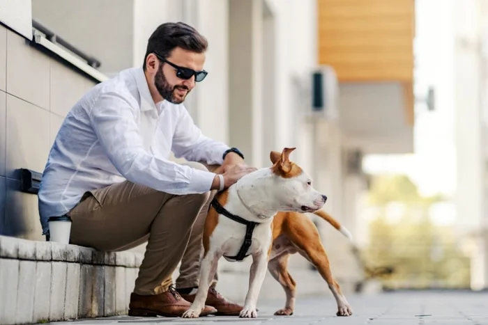Dusan Petkovic / Shutterstock | Portal EdiCase Dusan Petkovic / Shutterstock | Portal EdiCase