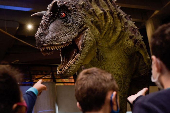 Arquivo ASCOMPUCRS / MCT-PUCRS / Divulgação