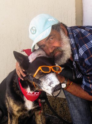 Picasa,Mariana Cardoso Carvalho / Arquivo pessoal Picasa,Mariana Cardoso Carvalho / Arquivo pessoal