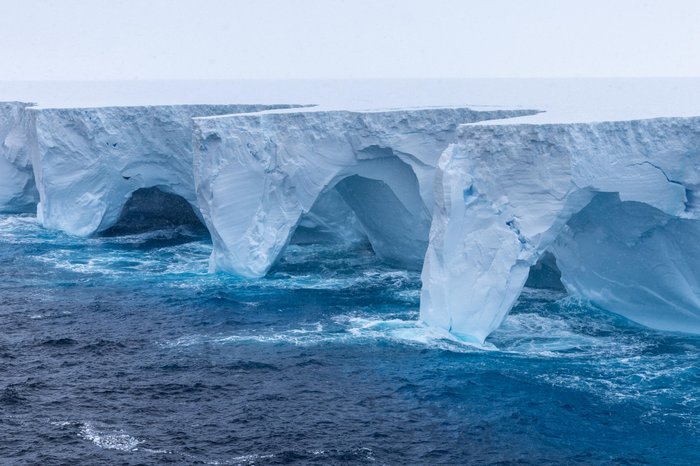 Richard Sidey / EYOS Expeditions / AFP