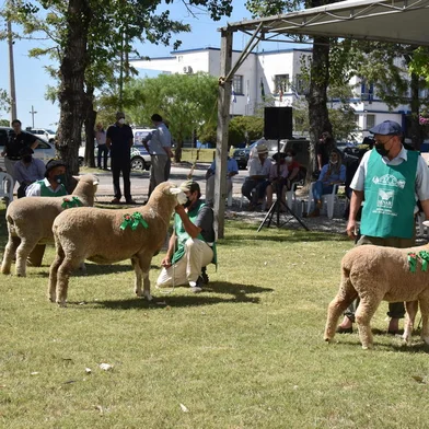 Município de Bagé se prepara para 15ª edição da Agrovino<!-- NICAID(15311515) -->