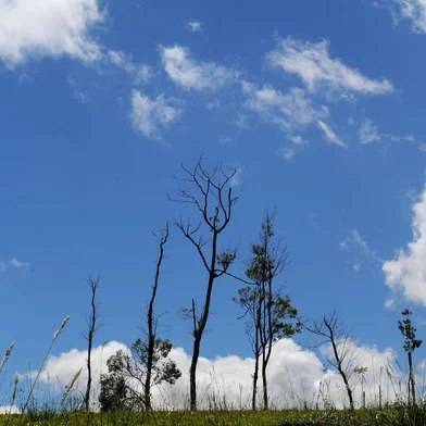 CAXIAS DO SUL, RS, BRASIL, 30/11/2021 -  Previsão do tempo para dezembro -  meteorologista destacou principalmente chuvas abaixo da média, temperatura acima da média. (Marcelo Casagrande/Agência RBS)<!-- NICAID(14954728) -->