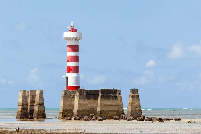 Fred Cardoso / adobe.stock.com Fred Cardoso / adobe.stock.com