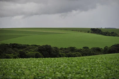 Chuva em lavouras de soja na cidade de Sarandi. Arco-Íris que apareceu no final da tarde, depois da chuva em Sarandi também.Indexador:                                 <!-- NICAID(7859306) -->