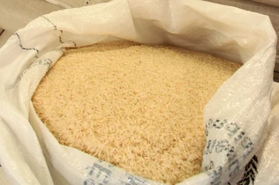 exportações , arroz , embarques , cooplantio , brazilian rice , pelotas<!-- NICAID(9912603) -->