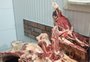 Mais de 230 quilos de alimentos impróprios para consumo são apreendidos em mercado de Marau 