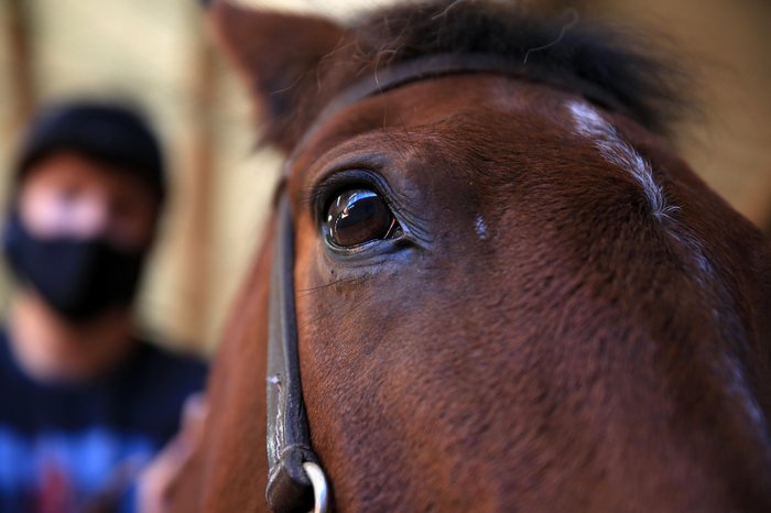 Marcelo Casagrande / Agencia RBS