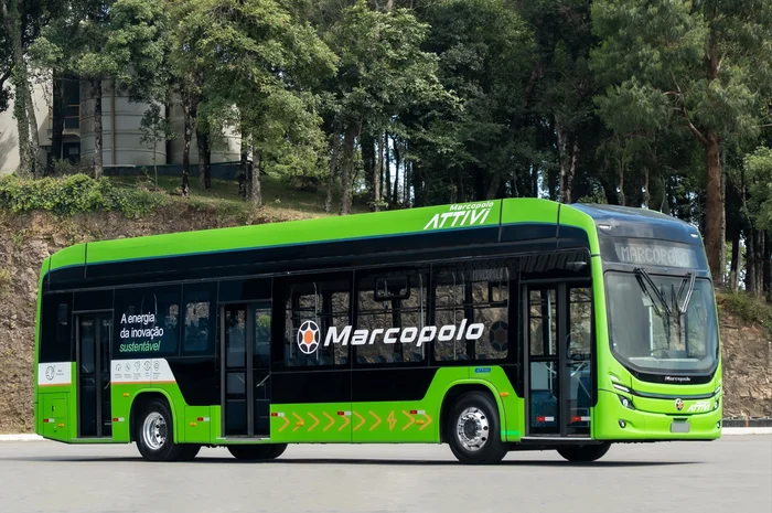 Marcopolo / Divulgação