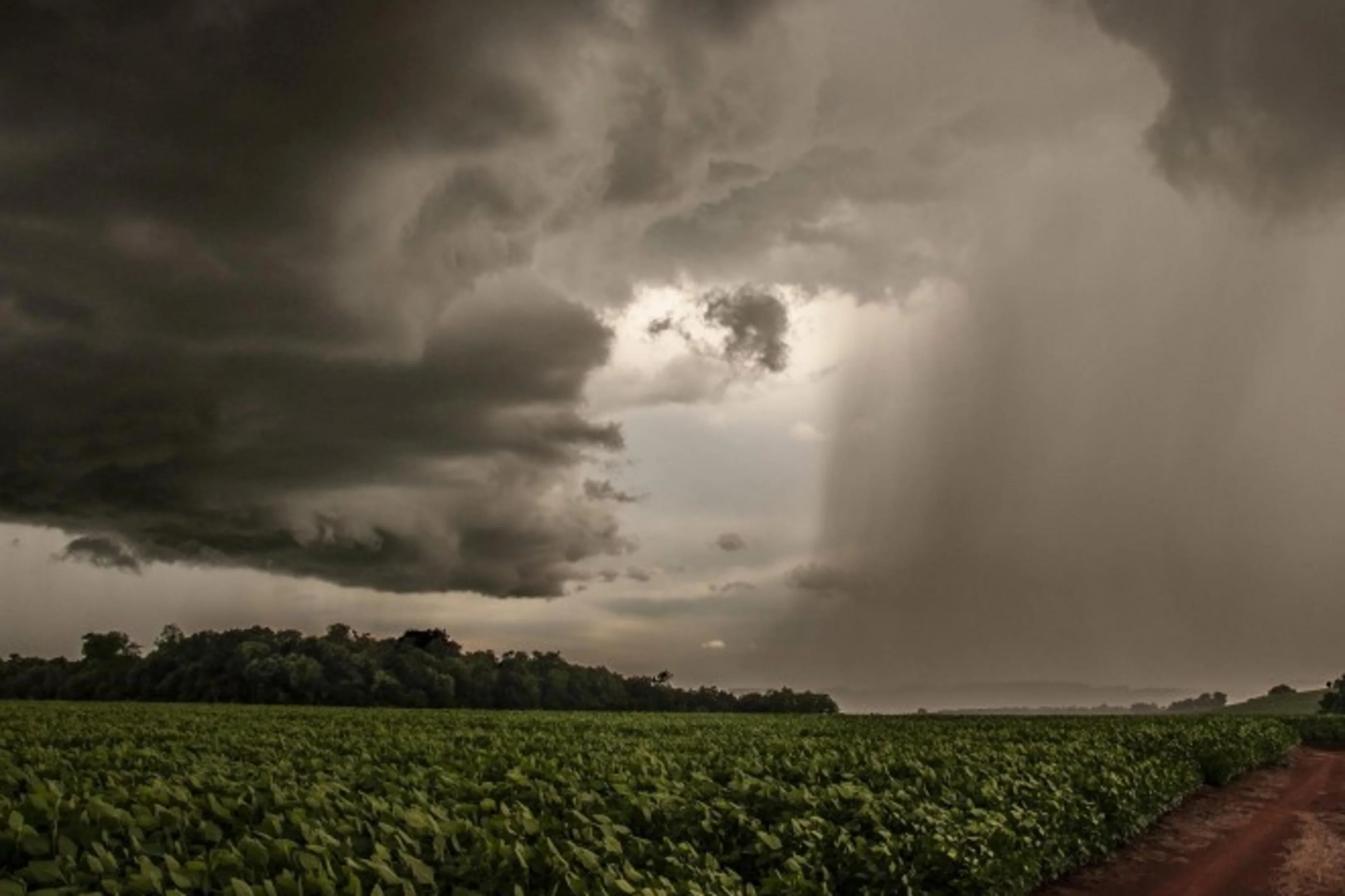 ONU alerta para El Niño 