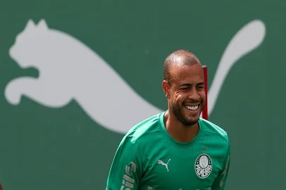 Mayke, Palmeiras, futebol