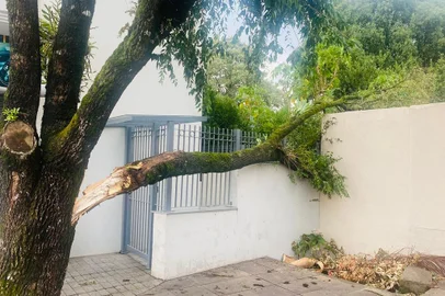 Temporal provoca estragos em Bento Gonçalves<!-- NICAID(14998907) -->