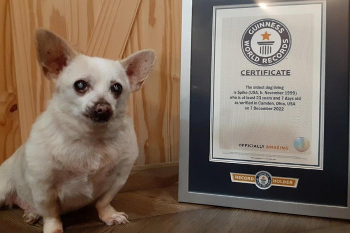 Guiness World Records / Reprodução