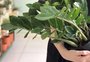 Cores, materiais e plantas: veja dicas para garantir conforto térmico em casa