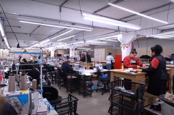 YANG / Divulgação YANG / Divulgação