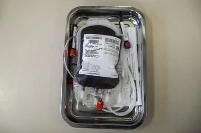 PORTO ALEGRE, RS, BRASIL - 2024.08.17: Doação de sangue no HCPA. (Foto: Renan  Mattos/ Agência RBS)<!-- NICAID(15843241) -->