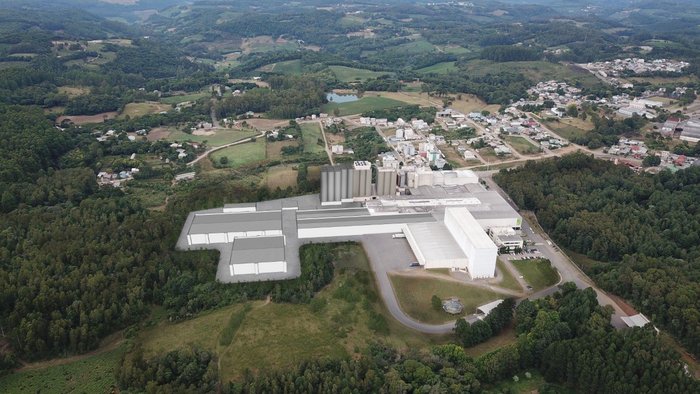 Orquídea / Divulgação