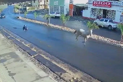 Cavalo em disparada arrasta adolescente por rua de Rosário do Sul.