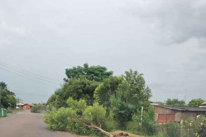 Cassius Dimitrius / Arquivo Pessoal