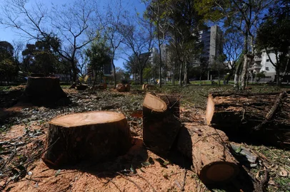 CAXIAS DO SUL, RS, BRASIL, 04/10/2022. Corte de árvores no Parque Jardim América, em Caxias do Sul. (Bruno Todeschini/Agência RBS)<!-- NICAID(15225957) -->
