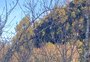 Calor de maio e junho antecipa floração em frutíferas da Serra