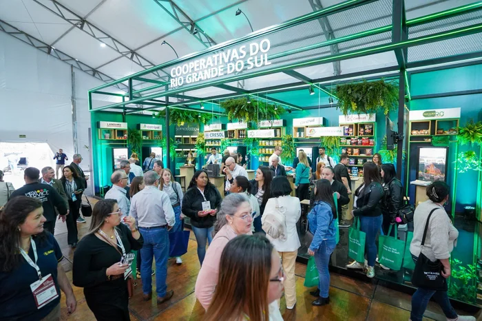 Sistema Ocergs / Divulgação