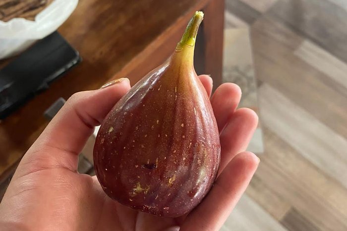 Fruti Kich / Divulgação