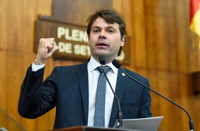 Mariana Czamanski / Divulgação Assembleia Legislação