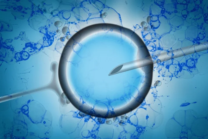 BGStock72 / Shutterstock | Portal EdiCase BGStock72 / Shutterstock | Portal EdiCase