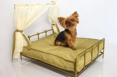 Caminhas da Ometal Pets<!-- NICAID(14798535) -->
