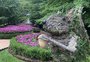VÍDEO: jardim gigante em Gramado tem mais de 50 mil flores, trilhas e espaço para piqueniques