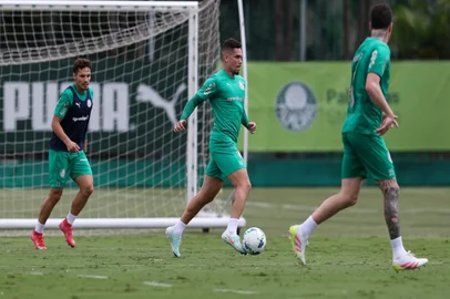Paulinho, futebol, Palmeiras