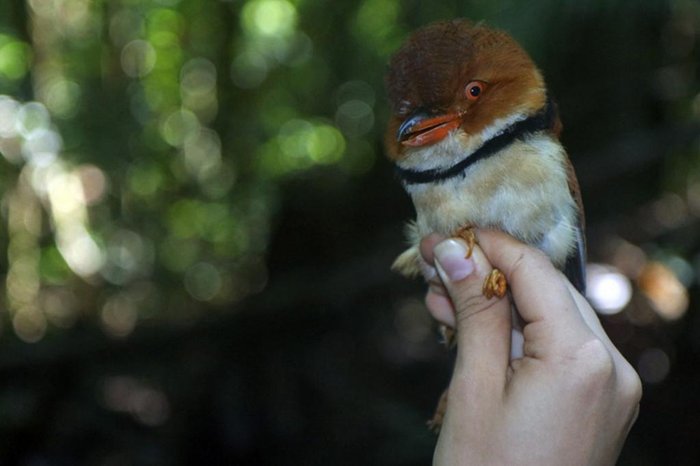 VITEK JIRINEC / EUREKALERT!