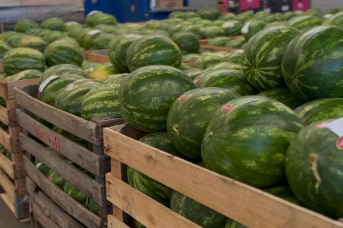 Ceasa / Divulgação Ceasa / Divulgação