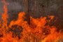 A fire burns in a farm in the municipality of Canta, Roraima state, Brazil, on February 29, 2024. (Photo by Alan CHAVES / AFP)Editoria: DISLocal: CantáIndexador: ALAN CHAVESSecao: fireFonte: AFPFotógrafo: STR<!-- NICAID(15693694) -->