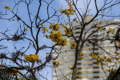 CAXIAS DO SUL, RS, BRASIL, 19/09/2025. Clima + Primavera. (Neimar De Cesero/Agência RBS)Indexador: Neimar De Cesero<!-- NICAID(16128227) -->