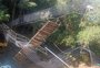 Sobreviventes de queda de passarela em camping de Sapiranga depõem na polícia
