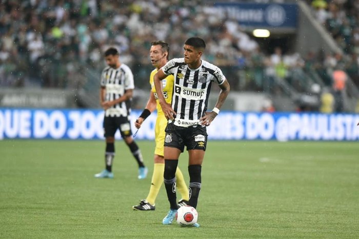 Raul Baretta / Santos FC / Divulgação