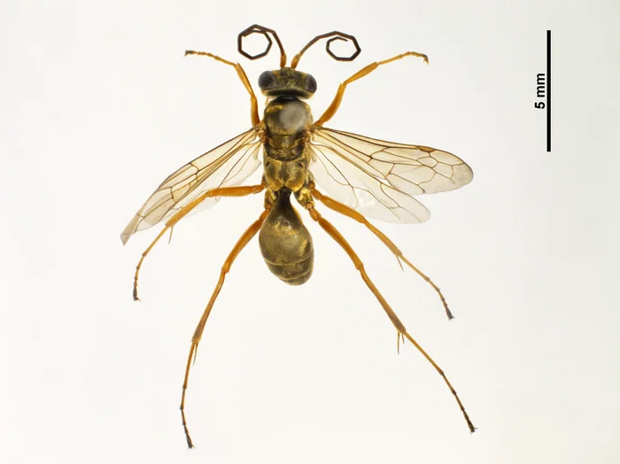 Arquivo pessoal / Divulgação