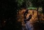 Turismo rural é opção de fonte de renda para propriedades rurais